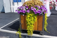 img-20250719-wa0003