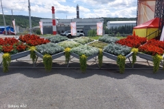 img-20250719-wa0004