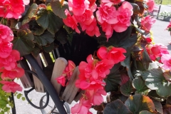 img-20250719-wa0008