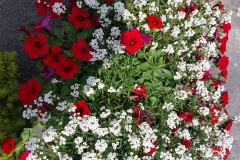 img-20250719-wa0009